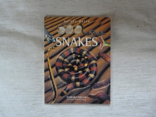 Snakes barbara - snakes, (nature