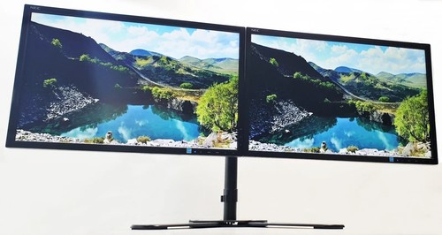 Dual screen monitor - screen, 2×22″