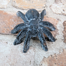 Spider Garden Ornaments Wall