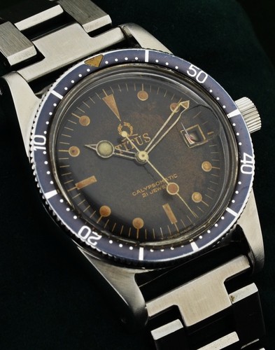 Rare titus calypsomatic big - titus,