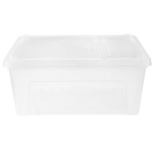 Tortoise hibernation box snail - box,