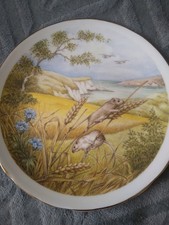 Decorative Plate Field Mice