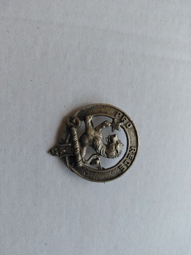Old lion rampant - old, pro