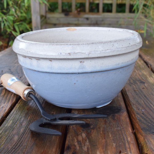 Plant pot ceramic - pot,