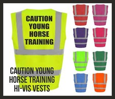 Caution Young Horse Training