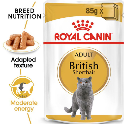 Royal canin british shorthair - royal,