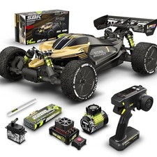 RIAARIO 1/10 Brushless RC