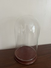 Glass Display Dome Cloche Bell