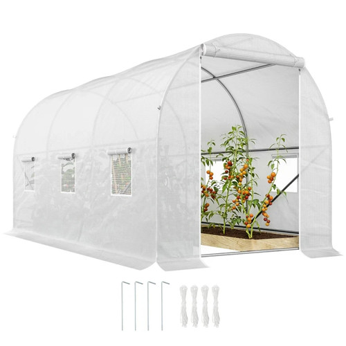 Large walk greenhouse poly - walk-in,