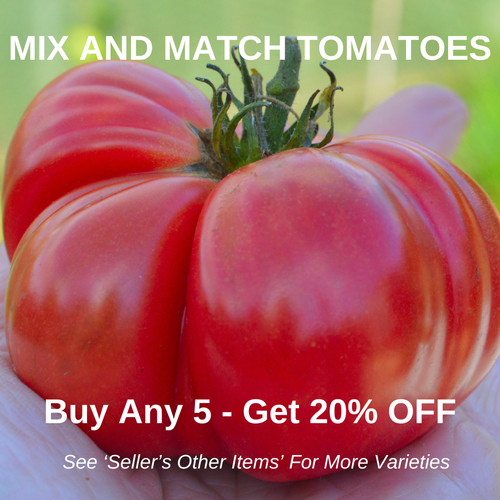 Tomato organic beefsteak - organic,