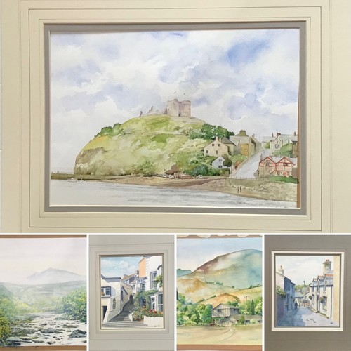 Original watercolour paintings - original,