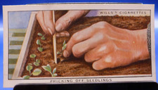 1938 W.D. & H.O. Wills Garden