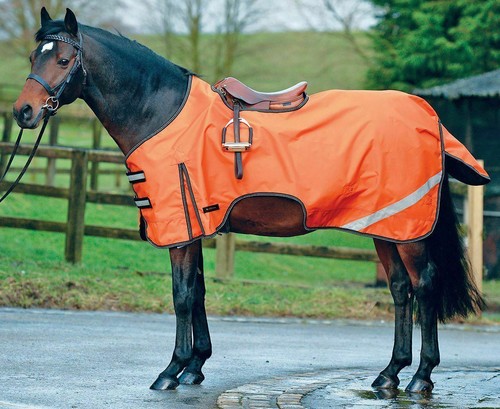 Viz horse exercise - hi-viz,