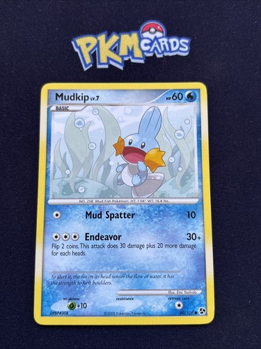 Pokémon tcg mudkip great - mudkip,