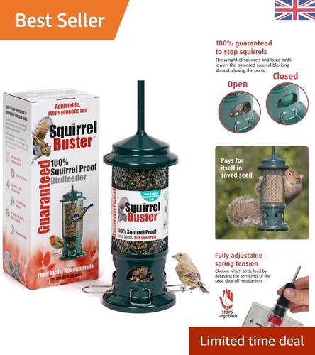 Innovative squirrel proof - squirrel,