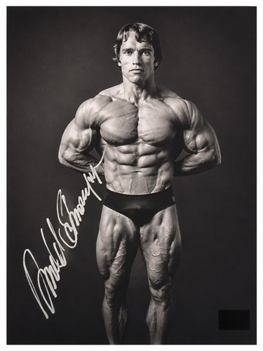 Arnold schwarzenegger - arnold,