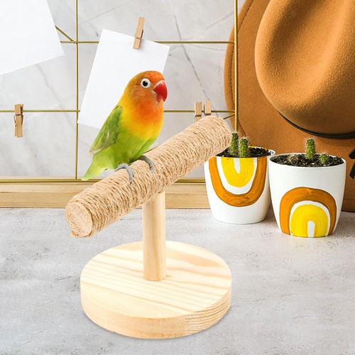 Parrot training perch stand - parrot,