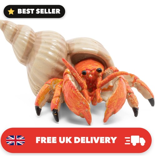 Realistic hermit crab - realistic,