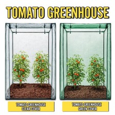 TOMATO GREENHOUSE GROW HOUSE