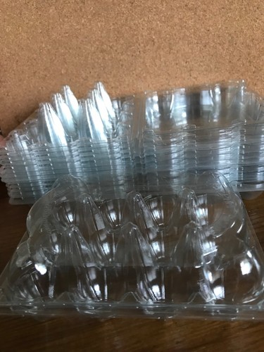 Quail egg boxes hole - egg,