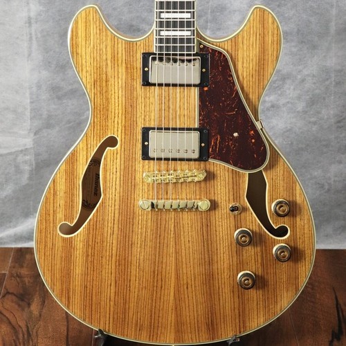 Ibanez electric guitar - ibanez,