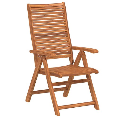 Reclining garden chairs - garden,