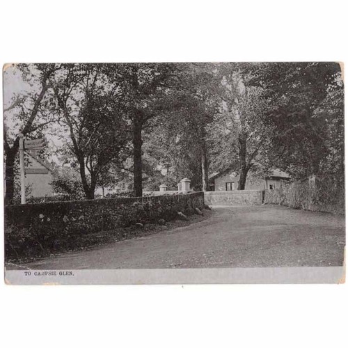 Campsie glen stirlingshire - glen,