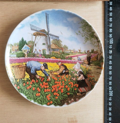 Royal schwabap holland - royal,