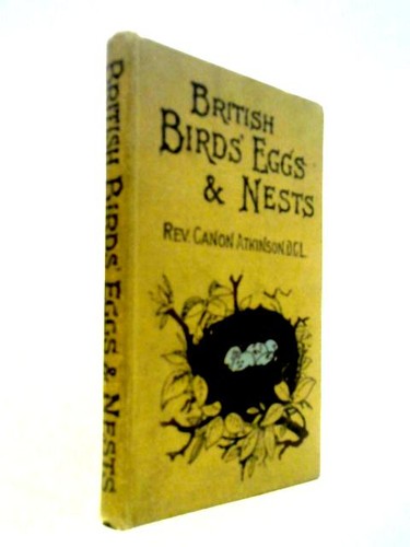British birds eggs - british, nests