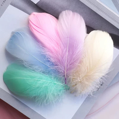 100 solid coloured - coloured,