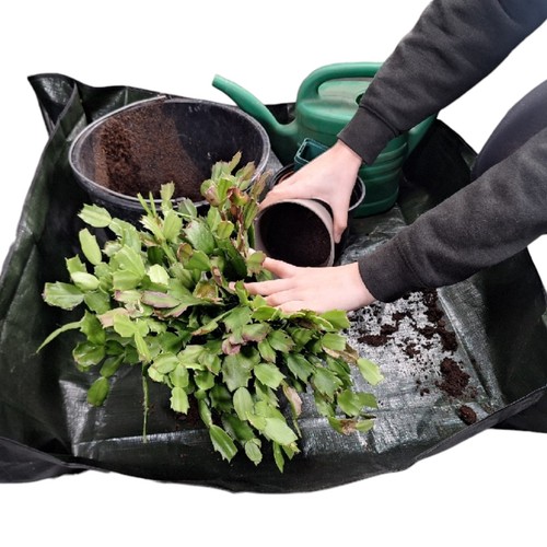 Plant potting mat gardening - potting,