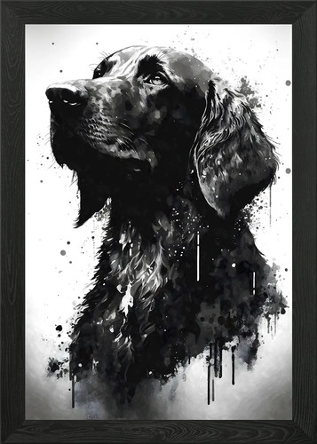 Flat coated retriever - flat, ink