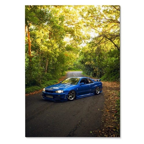 Nissan skyline gtr r34 - nissan,
