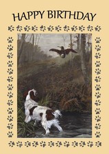WELSH SPRINGER SPANIEL DOG