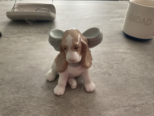 Nao dog with bow - nao,