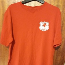 Wales Shirt by Toffs.
