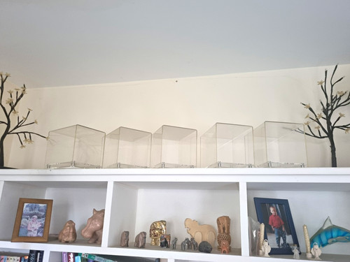 Clear acrylic display - x,