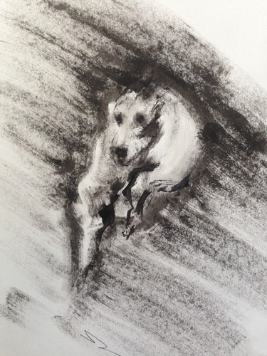 Original signed ink sketch - ink, of