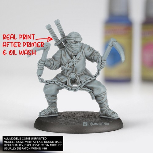 Ronin ninja fantasy - ronin,