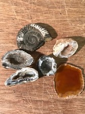 060c Small Fossil Collection of Ammonite Agate Slice and Small Geode Rocks