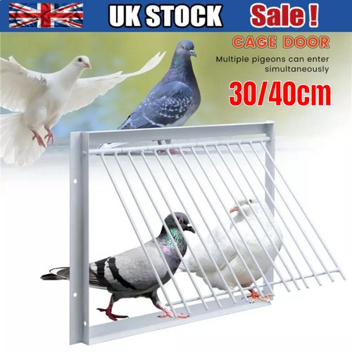 1pc pigeon entrance - 1pc, t