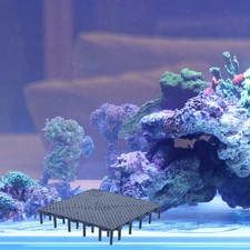 5 Pcs Aquarium Isolation Board