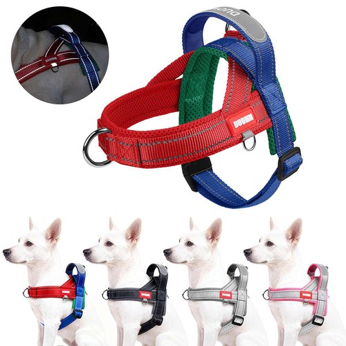 Adjustable pull dog pet - adjustable,