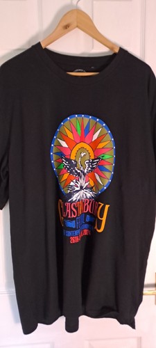 Glastonbury festival 2024 - glastonbury,