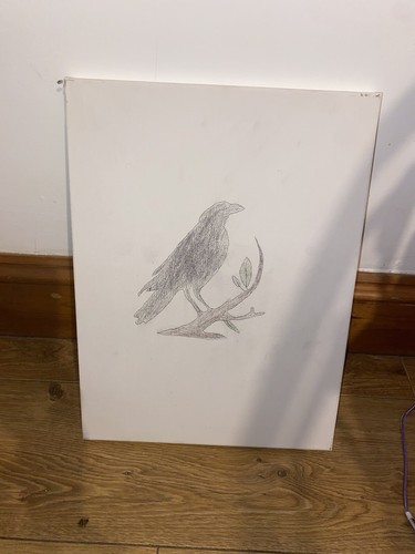 Canvas bird sketch - bird,