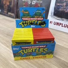 Teenage Mutant Ninja Turtle