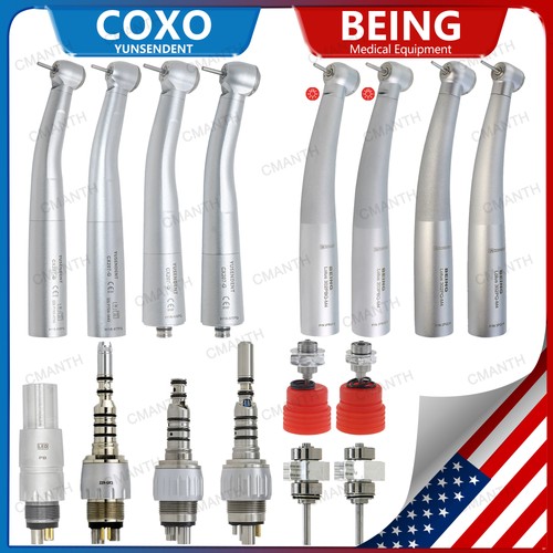 Coxo being dental - being,