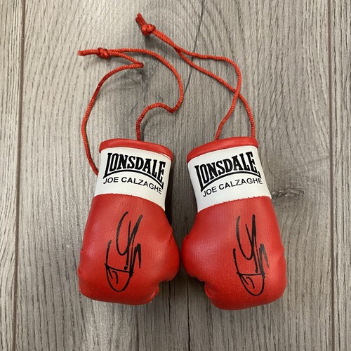 Joe calzaghe mini boxing - joe,
