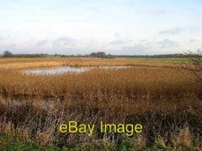 Photo 6x4 Pond near Chichester