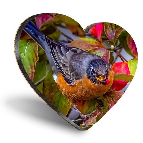 Heart mdf coaster - mdf,